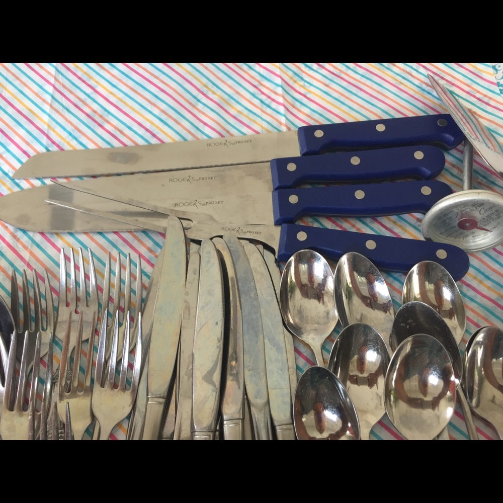 Flatware ROGER PRO SET